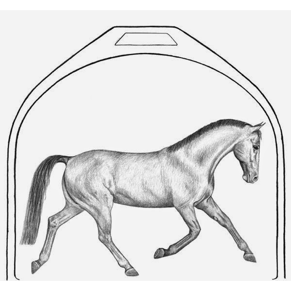 Iron Horse Hill Stables | 25795 Rockville Rd, Louisburg, KS 66053, USA | Phone: (913) 244-9617