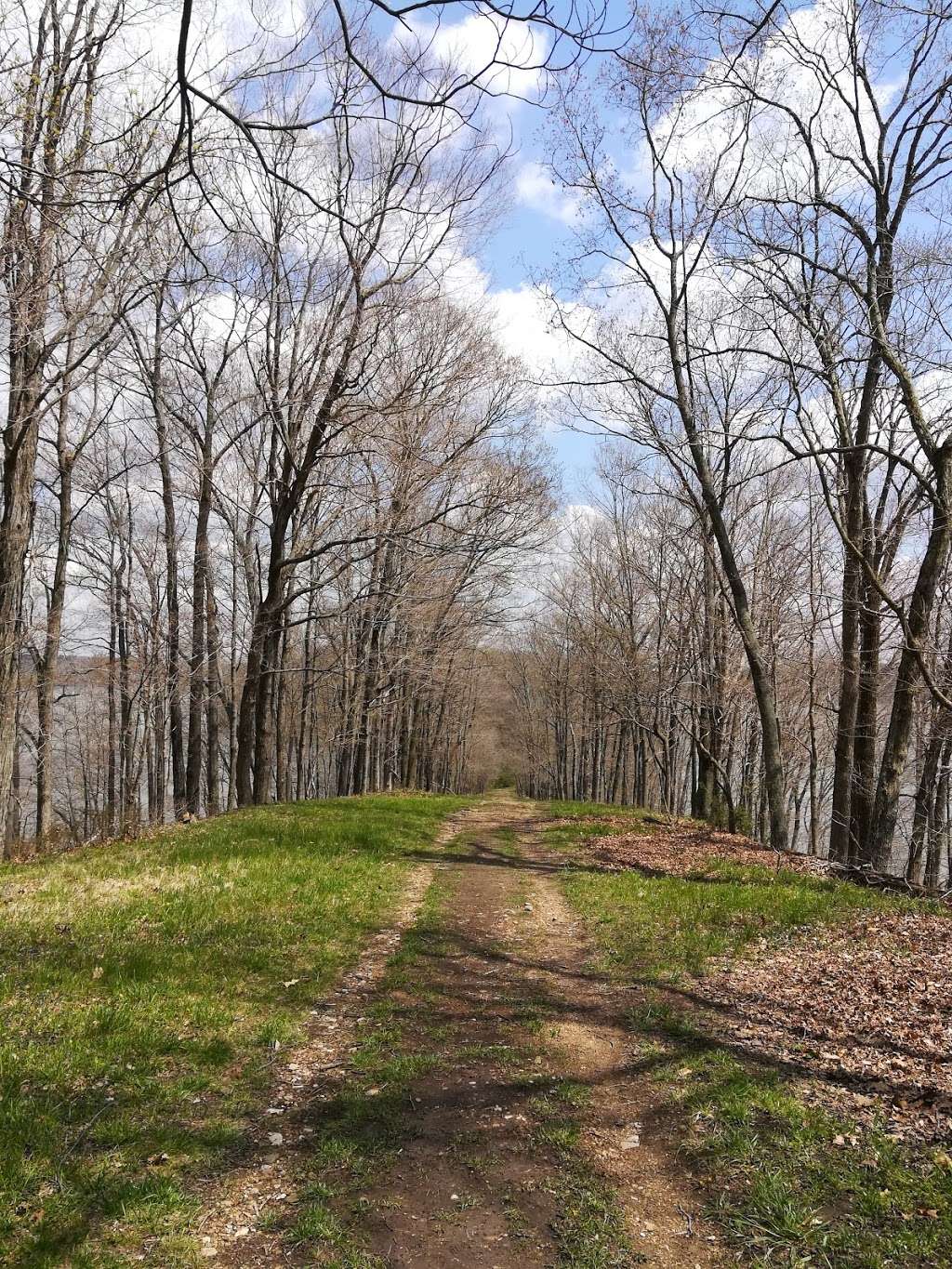 Amy Weingartner Branigin Peninsula Preserve Parking Lot | Bloomington, IN 47401, USA