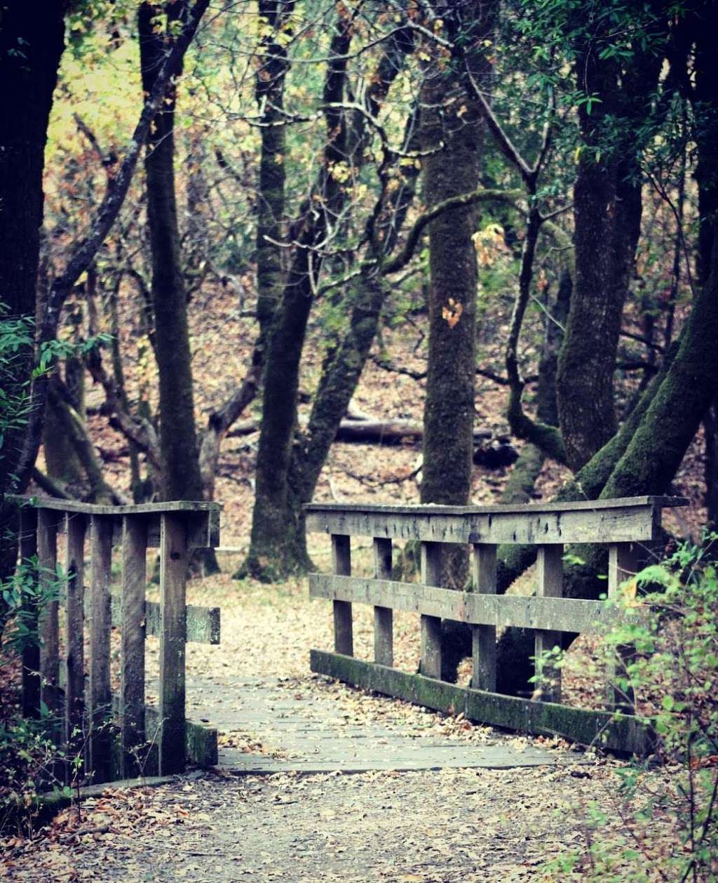 Elliot’s Nature Preserve Trail Head | Cascade Fire Rd, Fairfax, CA 94930, USA