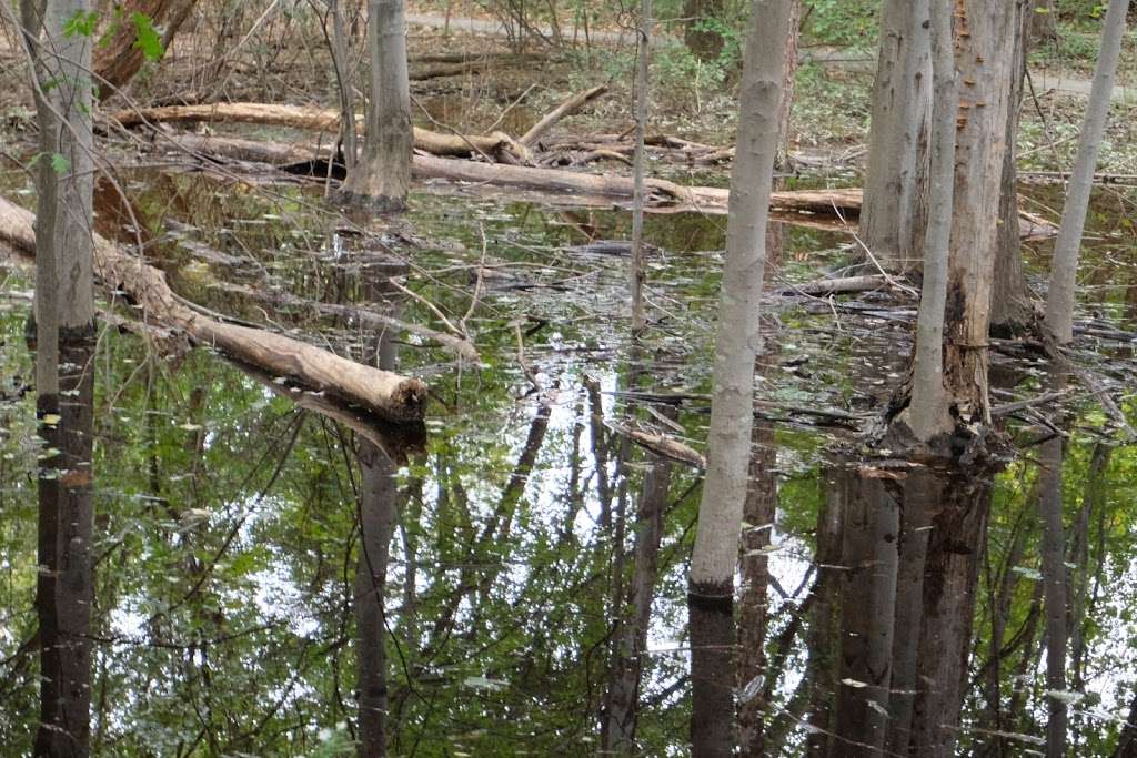 Inspiration Lake Hiking Trail | Unnamed Road, Gaithersburg, MD 20878