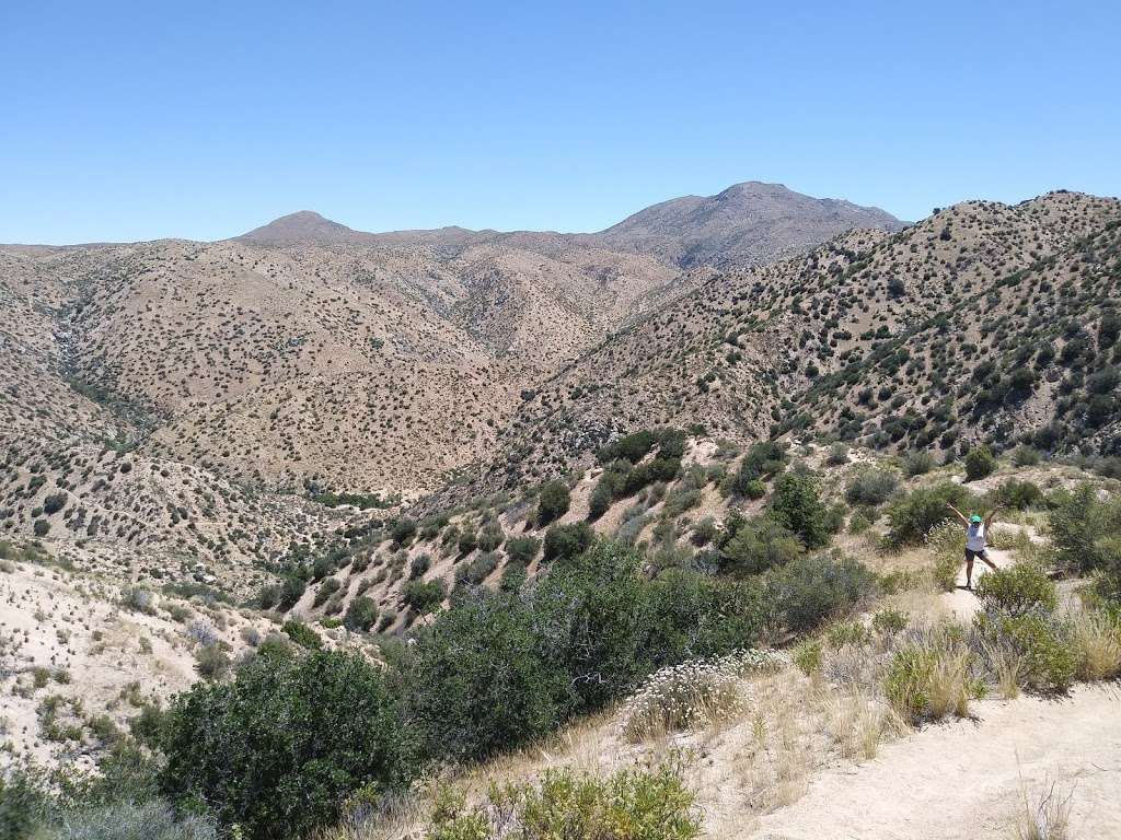 Bradford Ridge Path / Deep Creek Trailhead | CA-173, California, USA