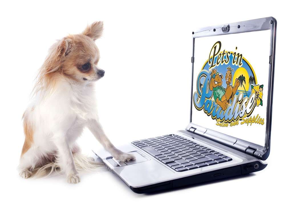 Pets in Paradise 2, 3133 Quakerbridge Rd, Hamilton Township, NJ 08619, USA