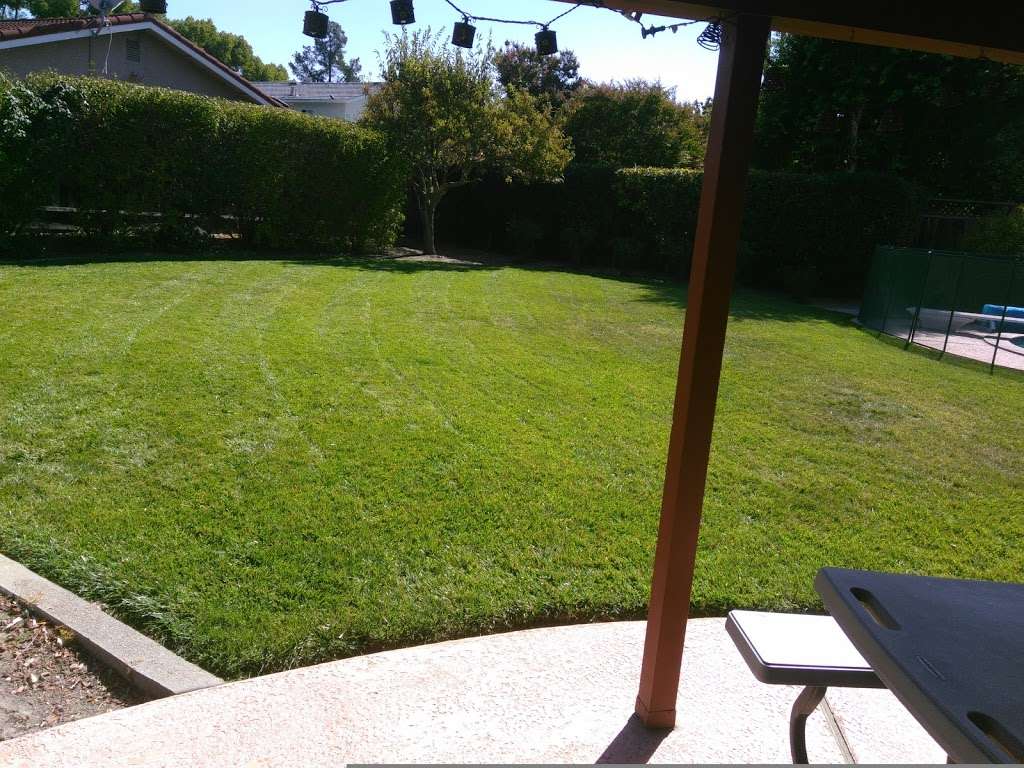 Pristine Lawn Care & plus | 711 Sundial Cir, Livermore, CA 94551, USA | Phone: (925) 922-2072