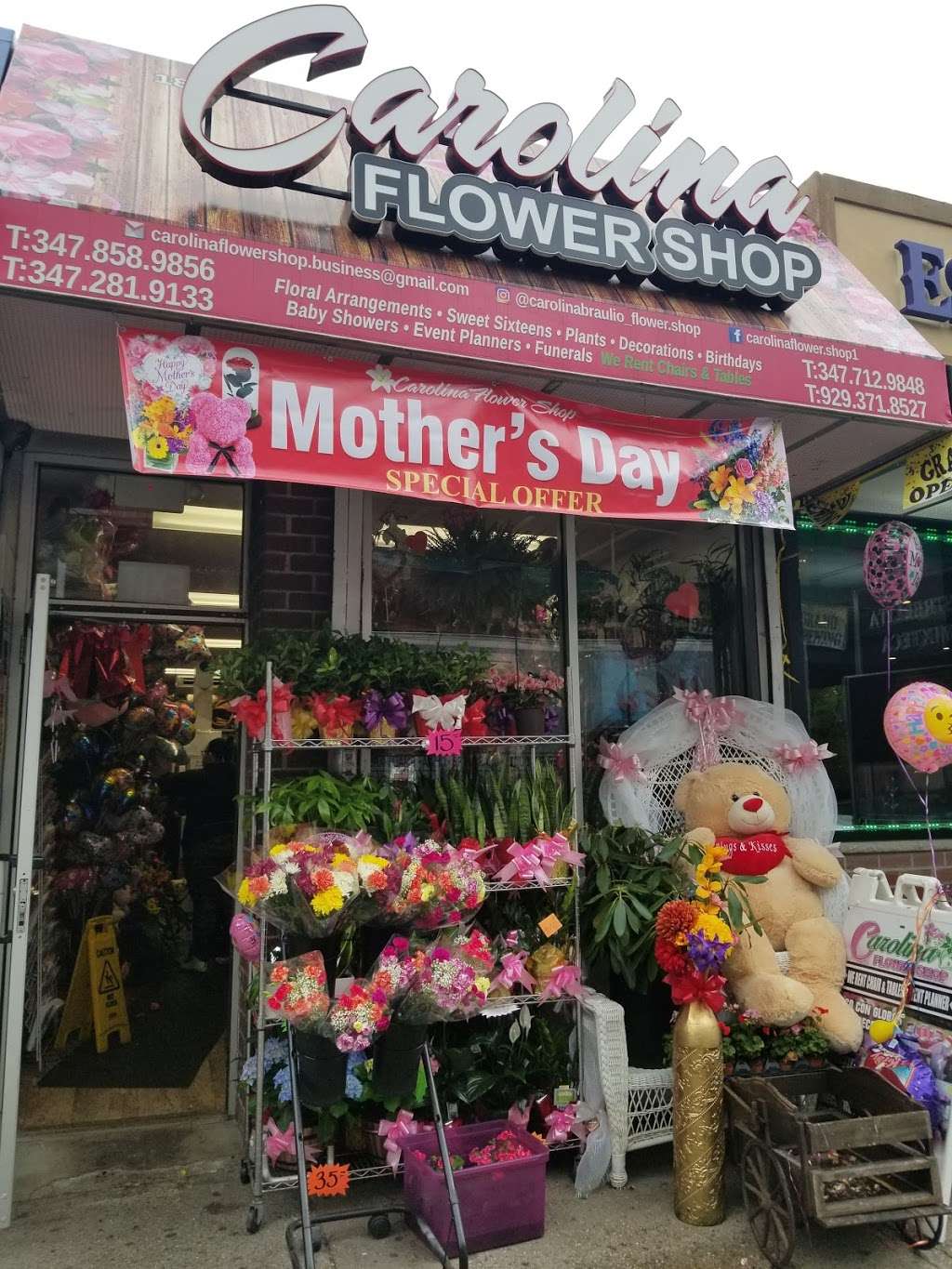 Carolina Flower Shop | 1811 Westchester Ave, The Bronx, NY 10472, USA | Phone: (347) 712-9848