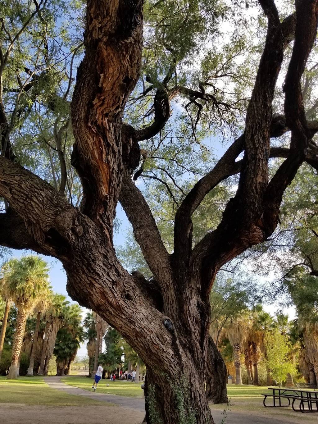 Agua Caliente Regional Park | 12325 E Roger Rd, Tucson, AZ 85749, USA | Phone: (520) 724-5000