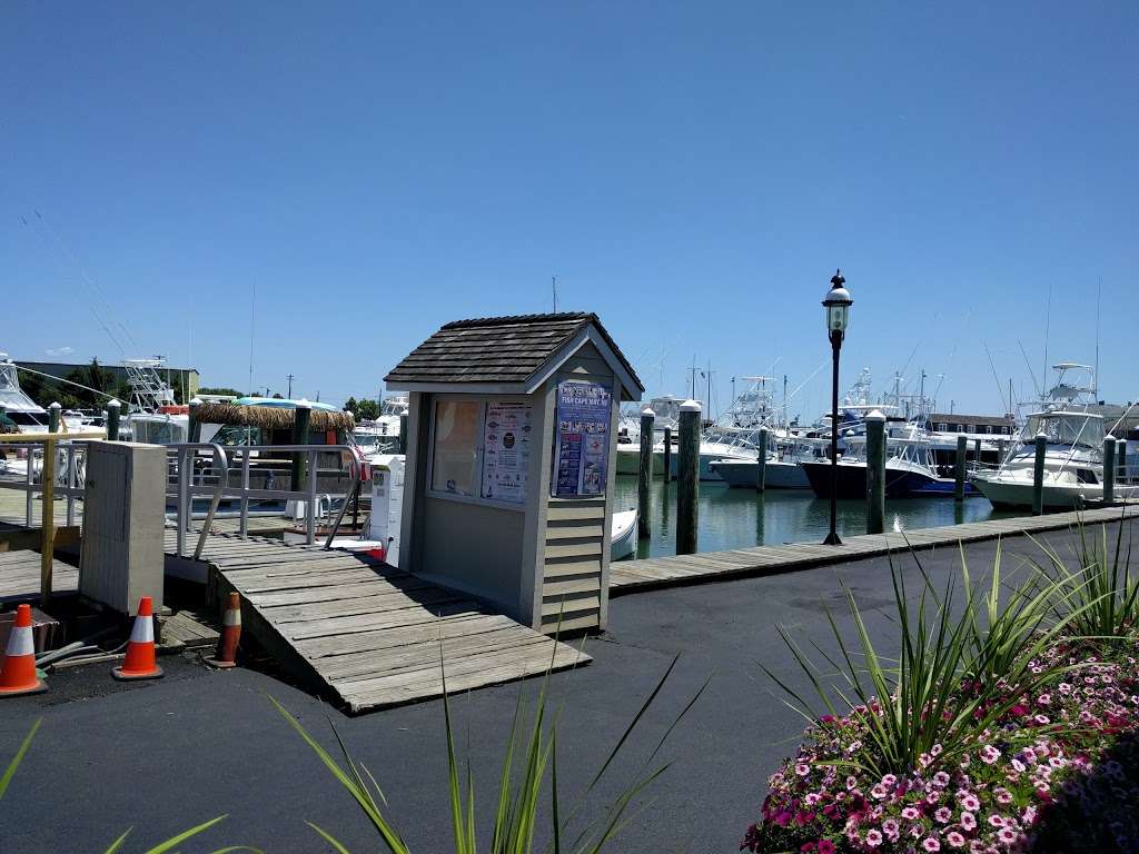 South Jersey Marina | 1231 NJ-109, Cape May, NJ 08204, USA | Phone: (609) 884-2400