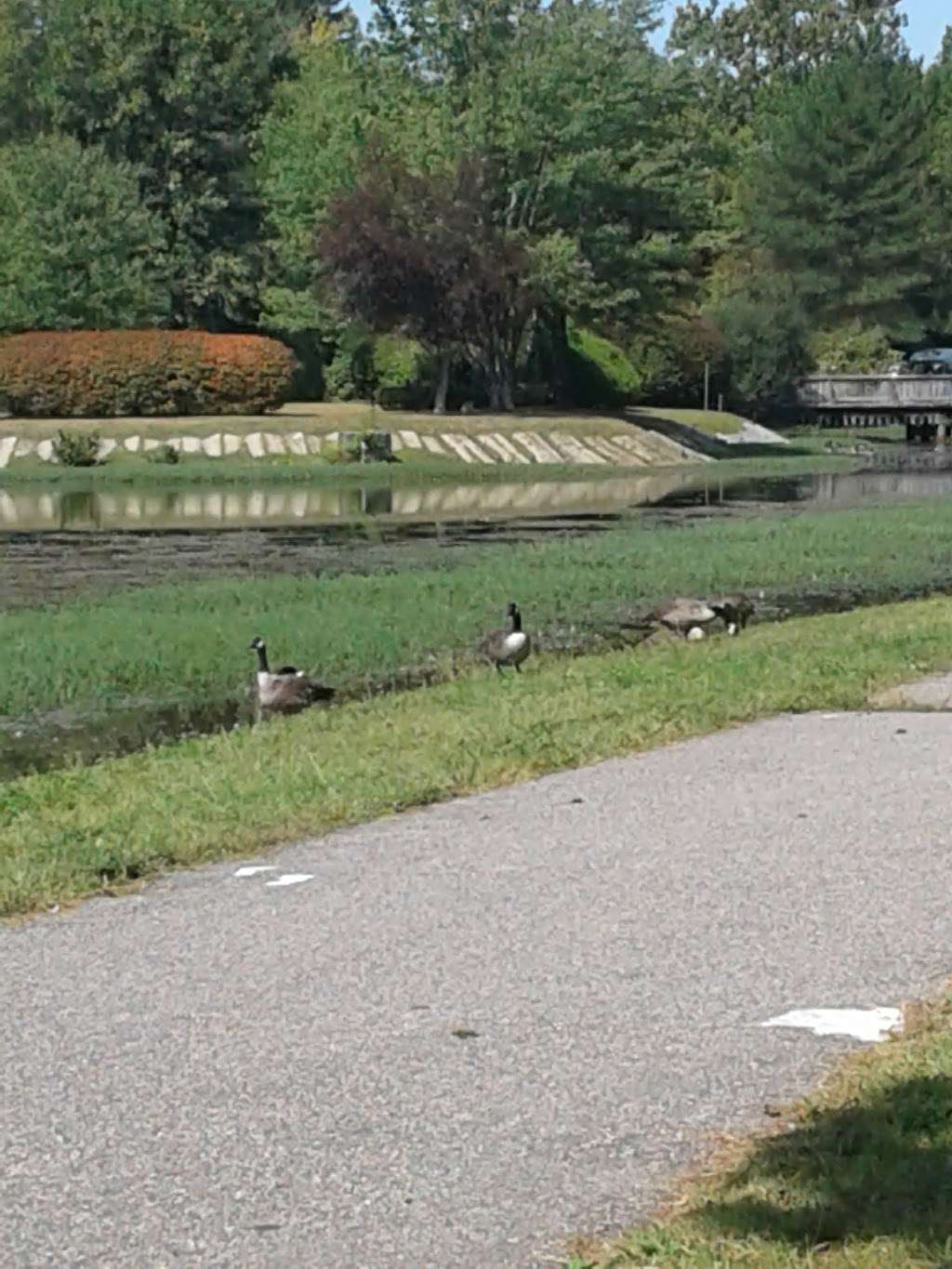 Johnston Memorial Park | 1583 Hartford Ave, Johnston, RI 02919, USA | Phone: (401) 272-3460