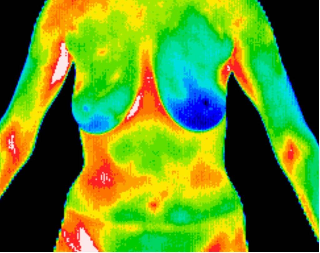 East Valley Thermography | 2450 S Arizona Ave Ste 1, Chandler, AZ 85286, USA | Phone: (602) 730-1644