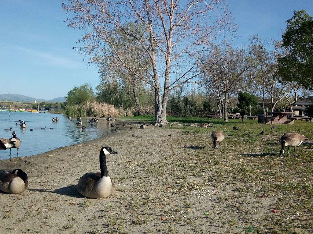 Shadow Cliffs Regional Recreation Area | 2500 Stanley Blvd, Pleasanton, CA 94566, USA | Phone: (510) 544-3230