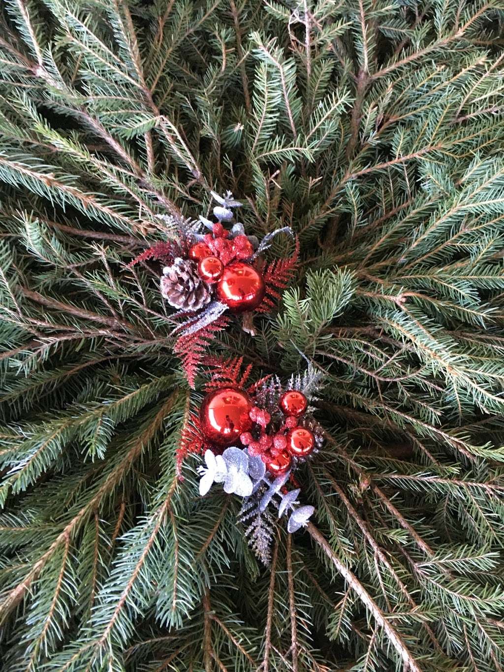 Anderson Memorial Park Cemetery | 6805 Doctor M.L.K. Jr Blvd, Anderson, IN 46013, USA | Phone: (765) 643-3211