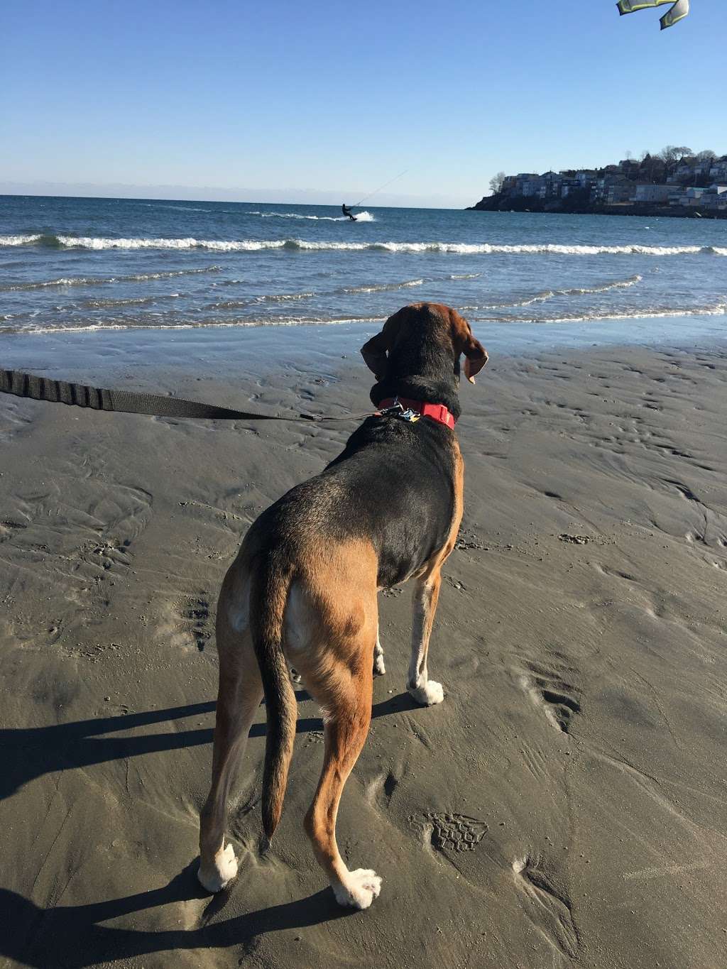 Nahant Beach And Playground | Nahant Rd, Nahant, MA 01908