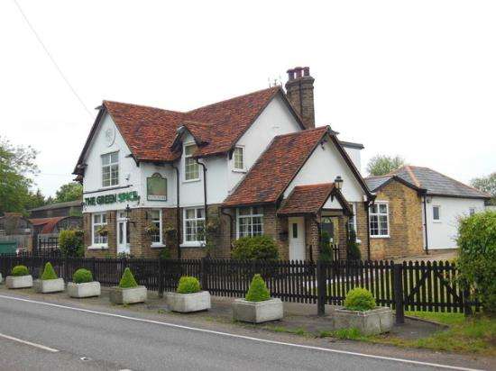 The Green Spice | 1 Tylers Rd, Roydon, Harlow CM19 5LJ, UK | Phone: 01279 792666