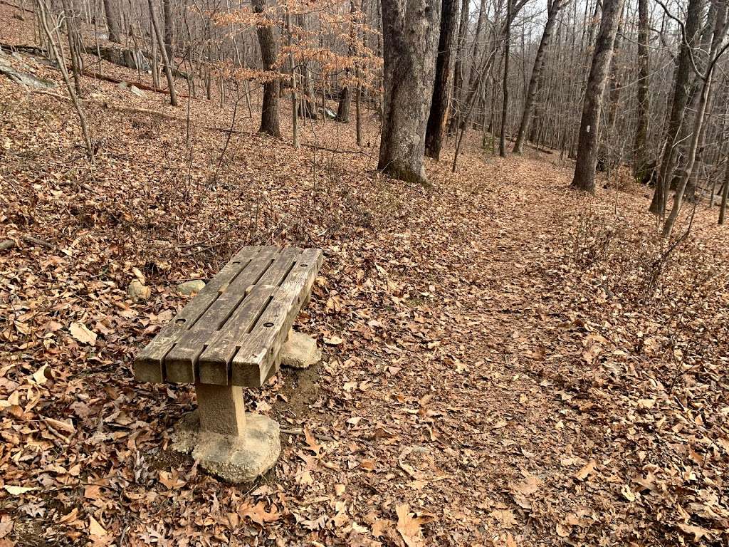 King & Queen Seat @ Rocks State Park | Unnamed Road, Jarrettsville, MD 21084, USA