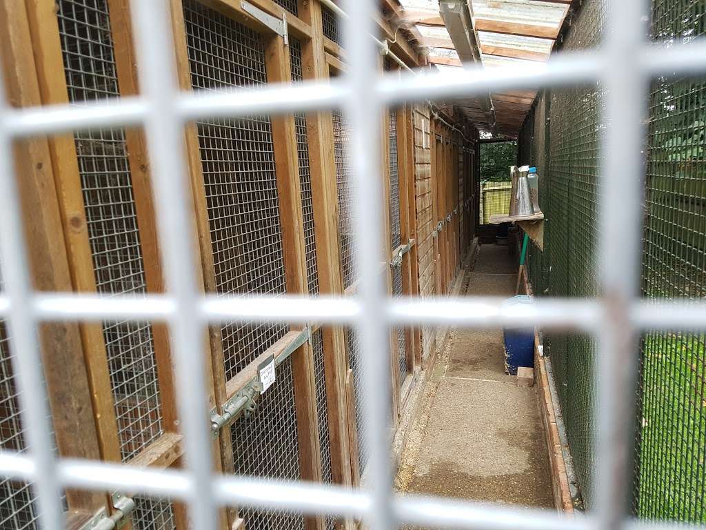 Deneland Boarding Kennels & Cattery | Turnagain Lodge, Hook Green Lane, Dartford, Wilmington DA2 7AJ, UK | Phone: 01322 225191