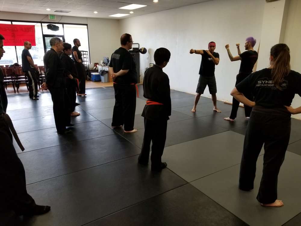 Synergy Martial Arts & Fitness | 9001 N Harlan St, Westminster, CO 80031 | Phone: (303) 650-5566