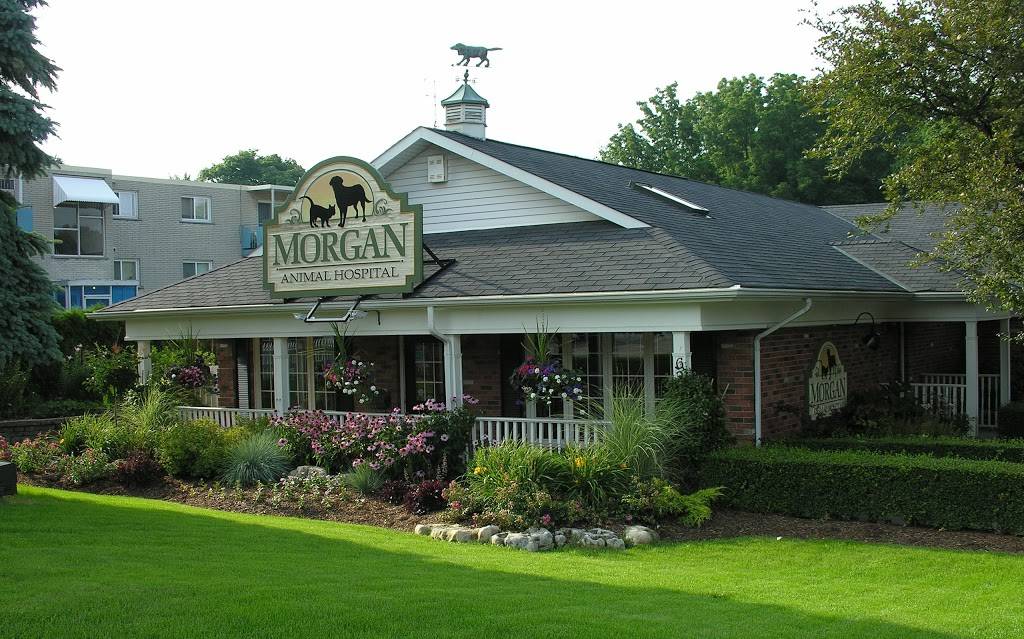 Morgan Animal Hospital | 6251 ONeil St, Niagara Falls, ON L2J 1M6, Canada | Phone: (905) 354-5645