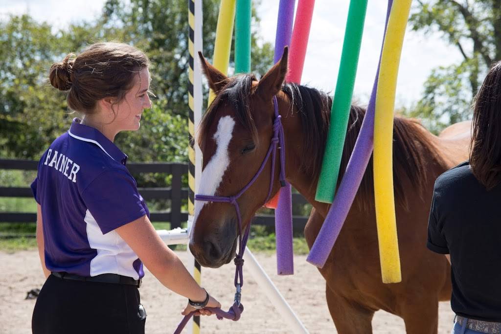 Asbury University Equine Center | 744 Shanty Hill Rd, Wilmore, KY 40390, USA | Phone: (859) 858-0485