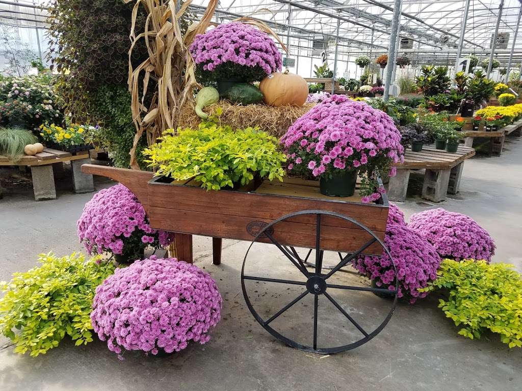 Esbenshades Garden Centers & Greenhouse | 1749 Bowmansville Rd, Mohnton, PA 19540, USA | Phone: (717) 445-6055