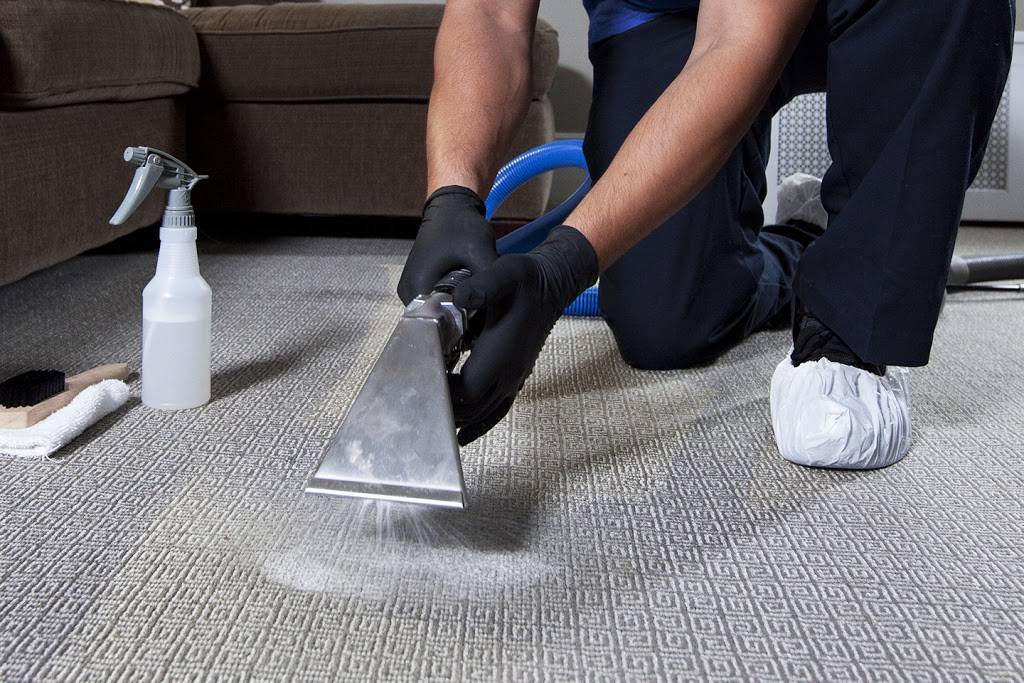 lox rug & carpet cleaning today | 15536 Carfax Ave, Bellflower, CA 90706, USA | Phone: (202) 335-2107