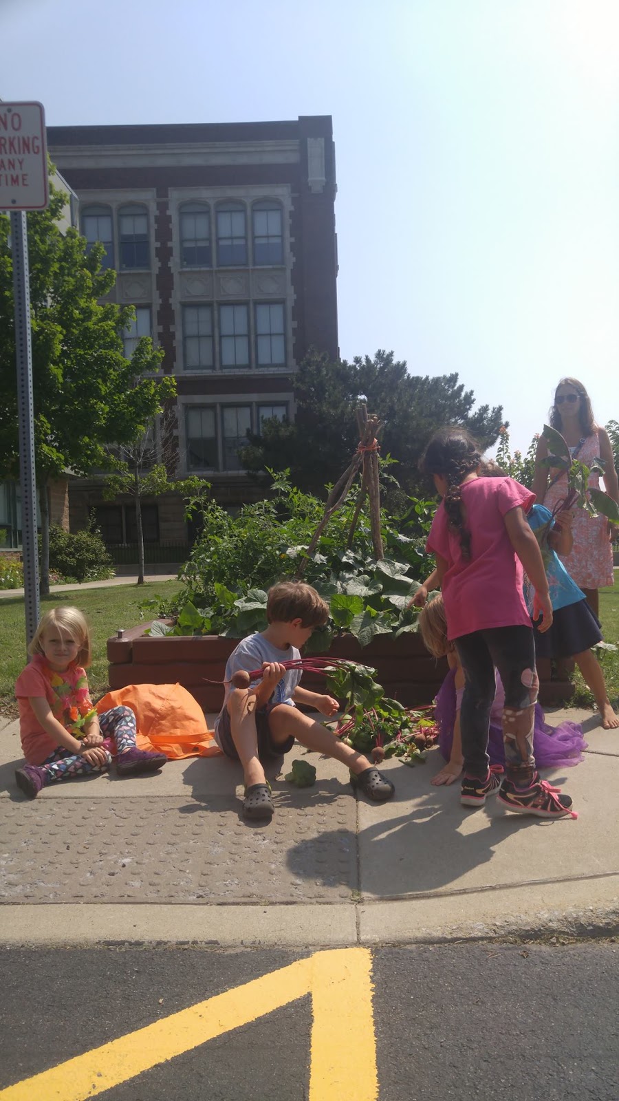 M.O.L.E. Garden - Montessori Outdoor Learning Experience | 342 Clinton St, Buffalo, NY 14204 | Phone: (716) 783-9653