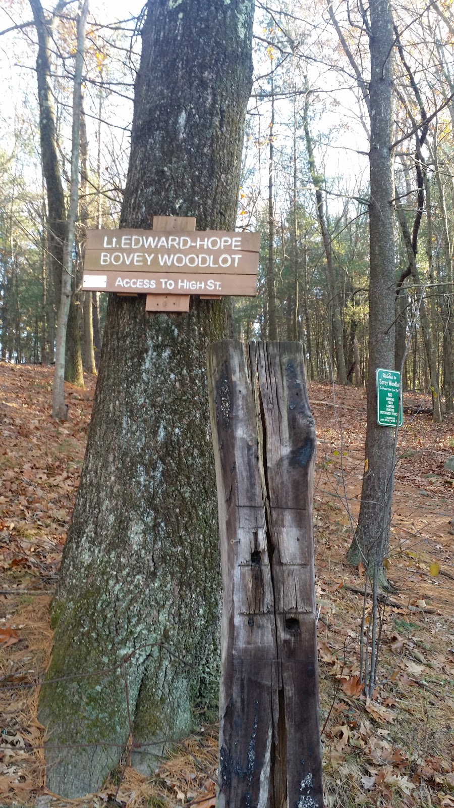 Bovey Woodlot | High St, Chelmsford, MA 01824, USA