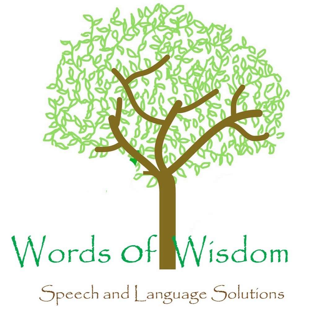 Words of Wisdom, PLLC | 5900 Memorial Dr Suite 302, Houston, TX 77007, USA | Phone: (832) 794-9007