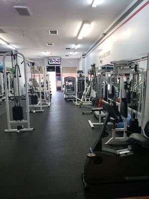 Andre Steel Fitness | 5142 Laurel Canyon Blvd, Valley Village, CA 91607, USA | Phone: (818) 406-5035