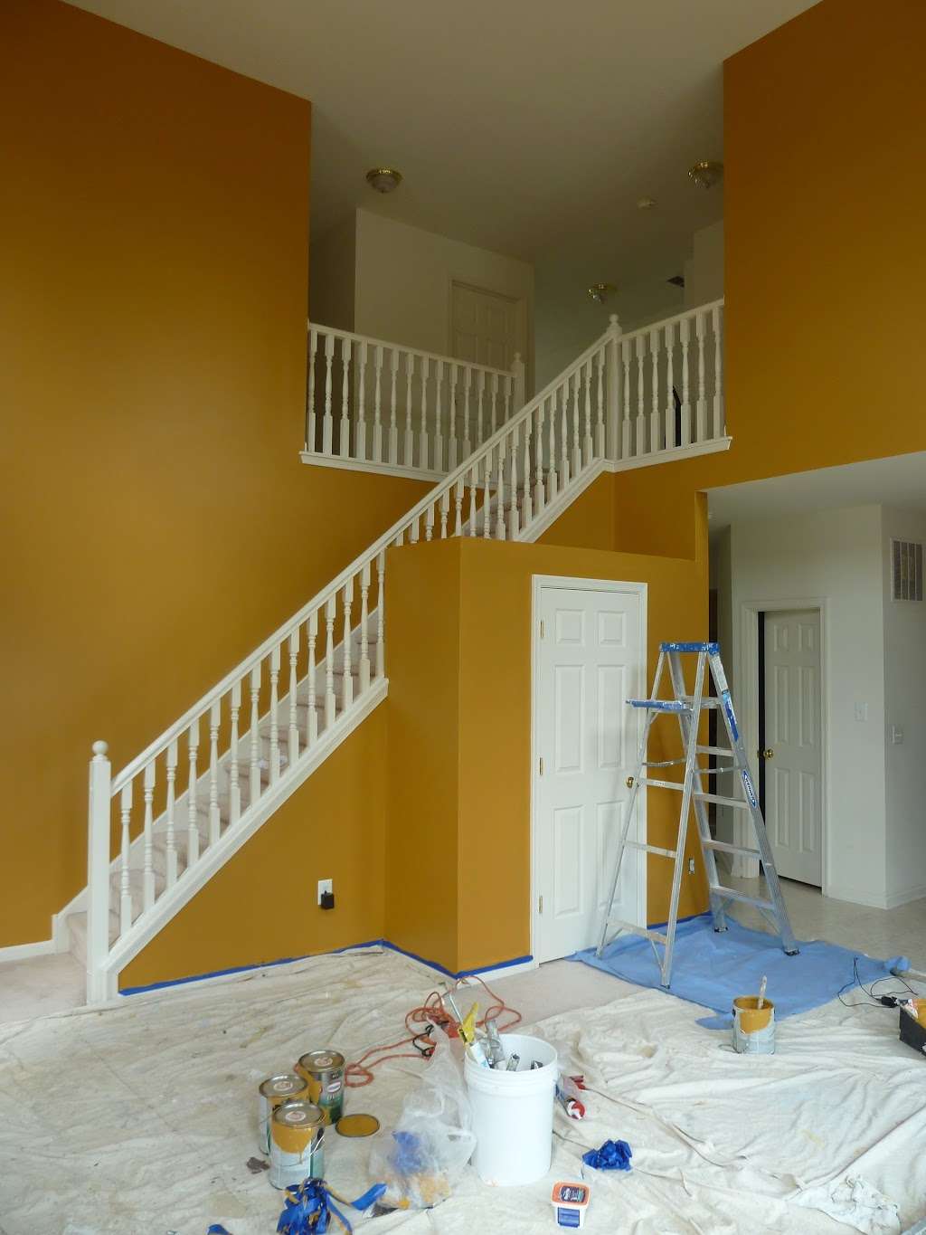 Pro Master Painting and Home Improvement | 2401 Greensward N unit a-11, Warrington, PA 18976, USA | Phone: (267) 615-9923