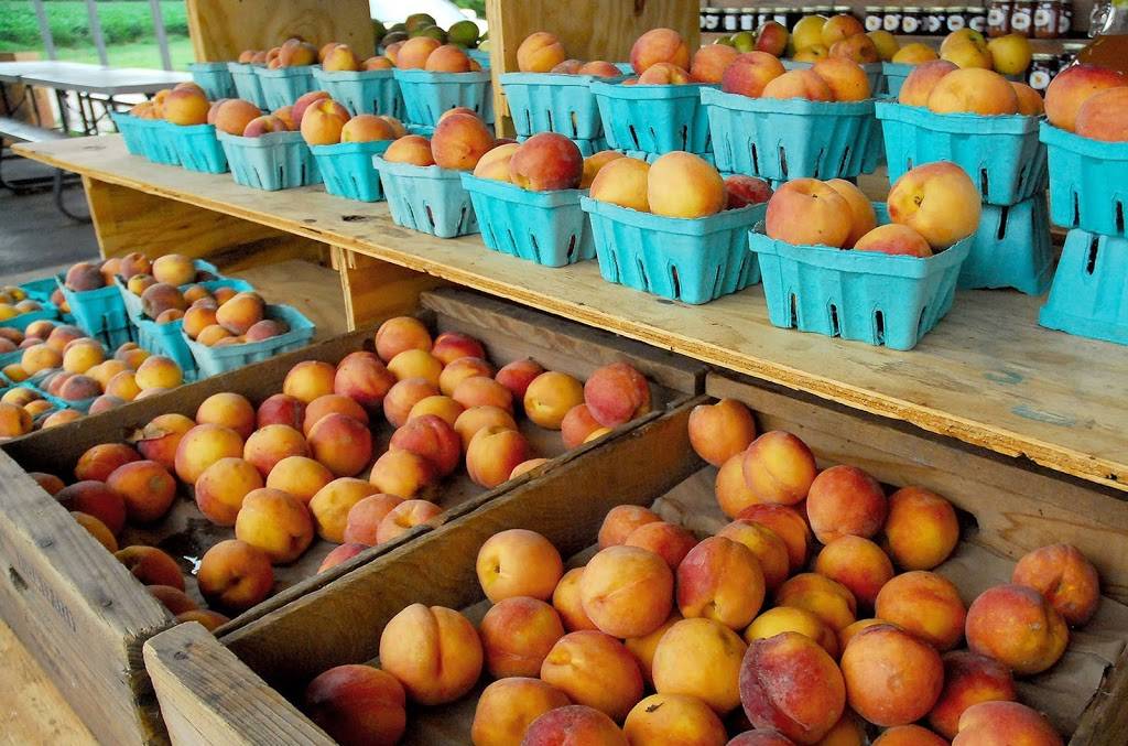 Jones Orchard | 7170 TN-3 N, Millington, TN 38053, USA | Phone: (901) 873-3150