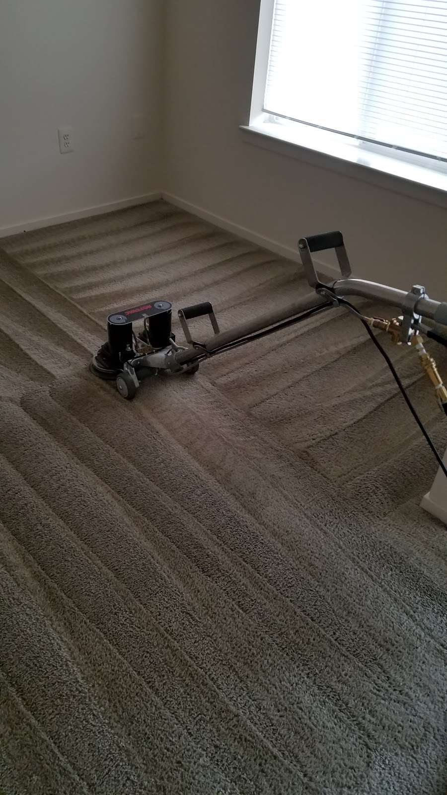 Dshane Professional Carpet Care LLC | 311 Central Rd suite b, Fredericksburg, VA 22405 | Phone: (540) 373-7405