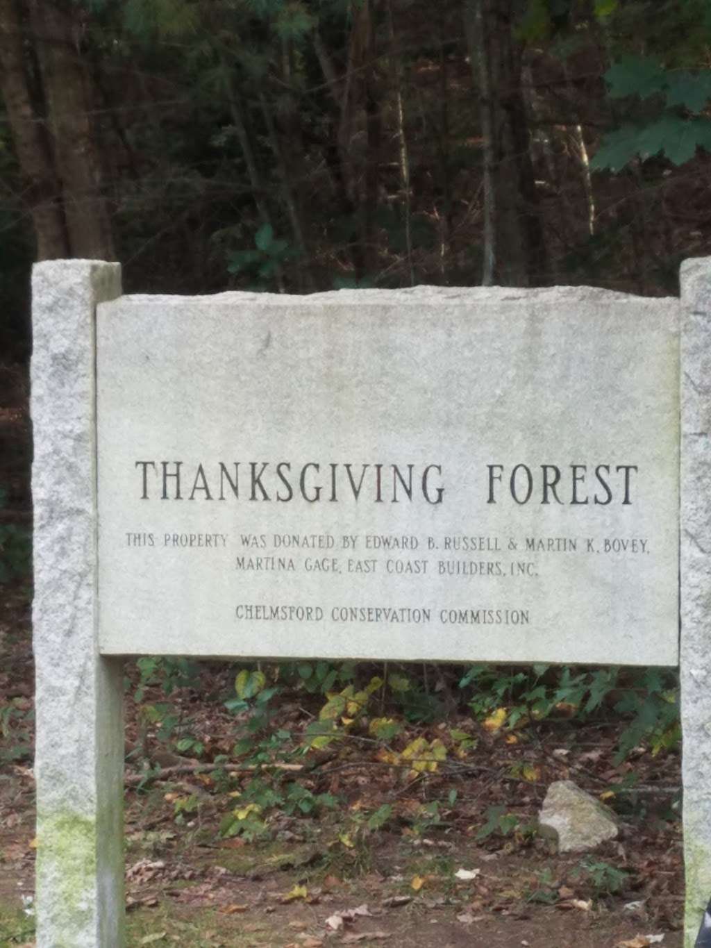 Thanksgiving Forest Reservation | 38-50 Janet Rd, Chelmsford, MA 01824