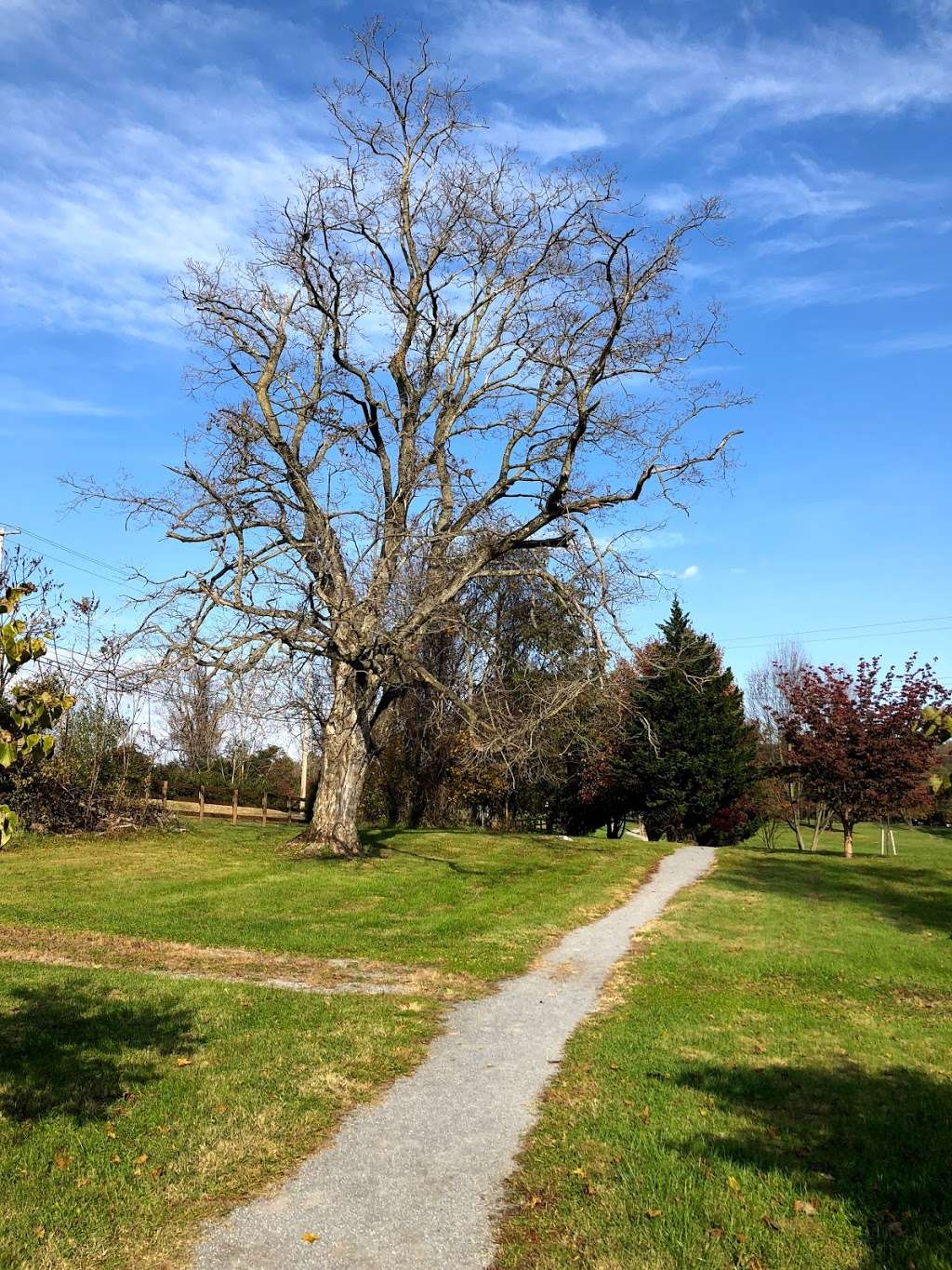 Morgans Grove Park | Kearneysville Pike, Shepherdstown, WV 25443, USA | Phone: (304) 728-3207