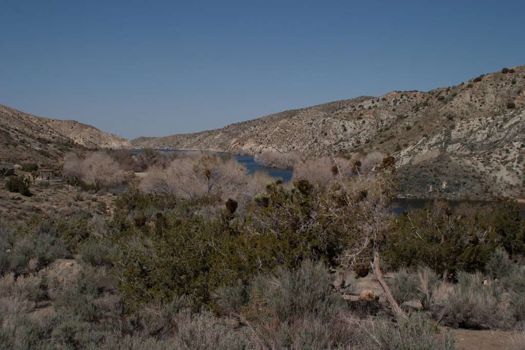 Rocky Point Picnic Site (recgovnpsdata) | Littlerock, CA 93543