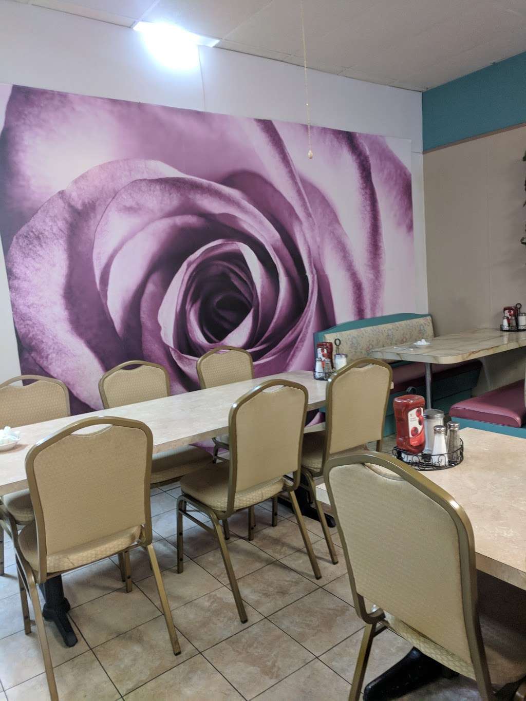 Marys Purple Rose Cafe | 2202 PA-940, Freeland, PA 18224 | Phone: (570) 636-1363