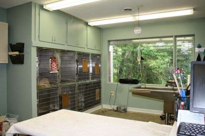 VCA Lancaster Animal Hospital | 456 High St a, Lancaster, MA 01523, USA | Phone: (978) 368-8363