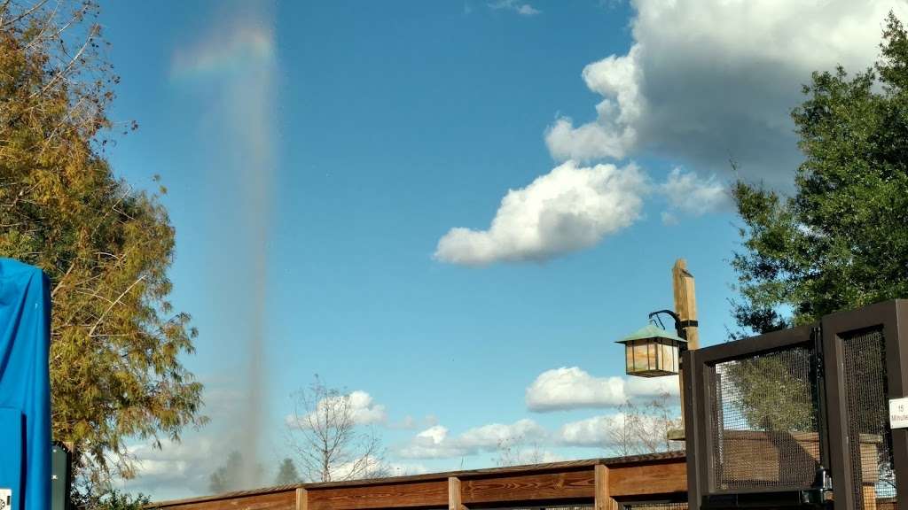 Fire Rock Geyser | Orlando, FL 32836, USA