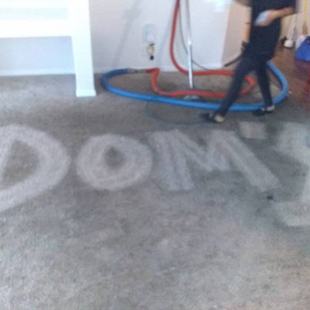 Doms Carpet Cleaning | 6653 Powers Ave, Jacksonville, FL 32217, USA | Phone: (904) 730-2111