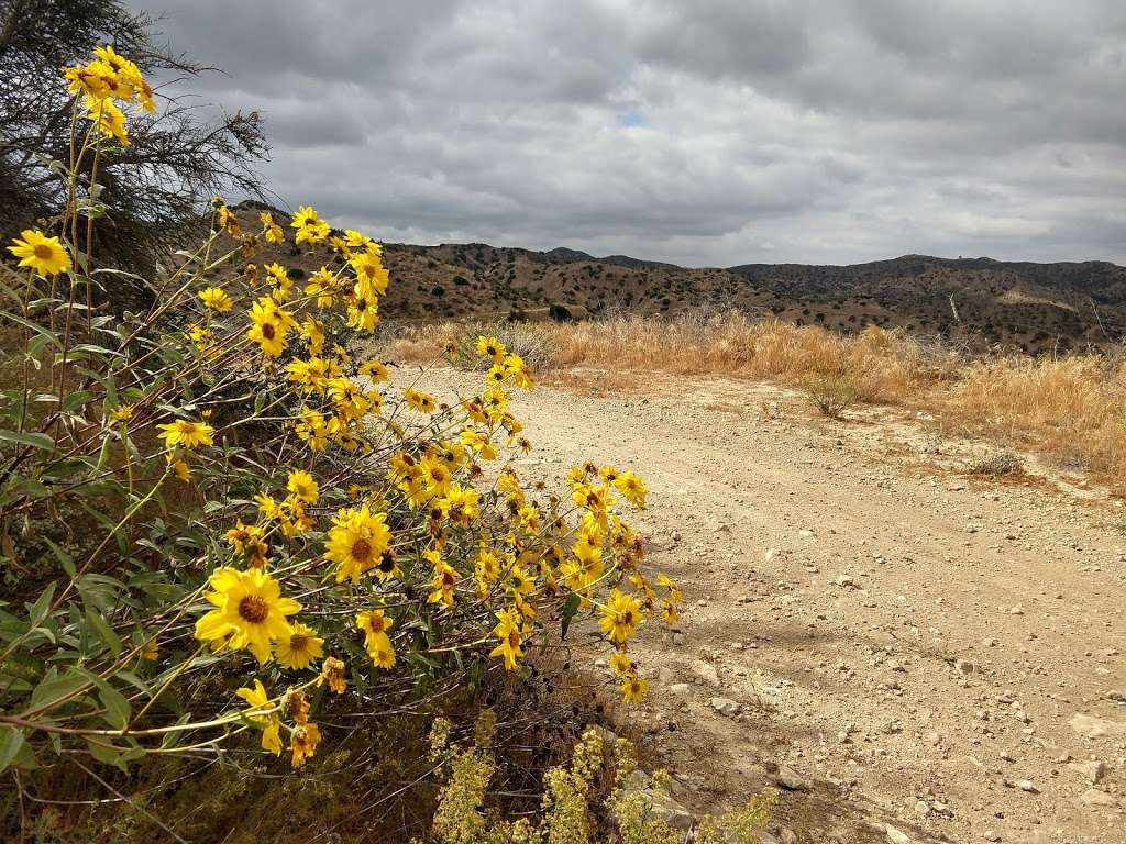 Fossil Lookout Point | West Hills, CA 91307, USA