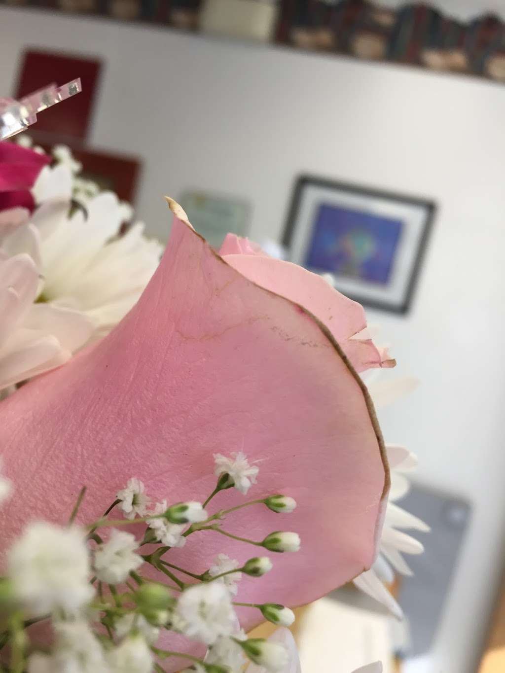 HAPPY FLOWERS | 668 FL-60 W, Lake Wales, FL 33853, USA | Phone: (863) 679-5252