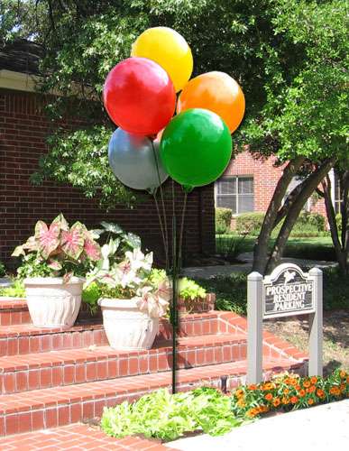 Balloon Ideas - allgas | 12000 Crownpoint Dr # 140, San Antonio, TX 78233, USA | Phone: (210) 829-4444