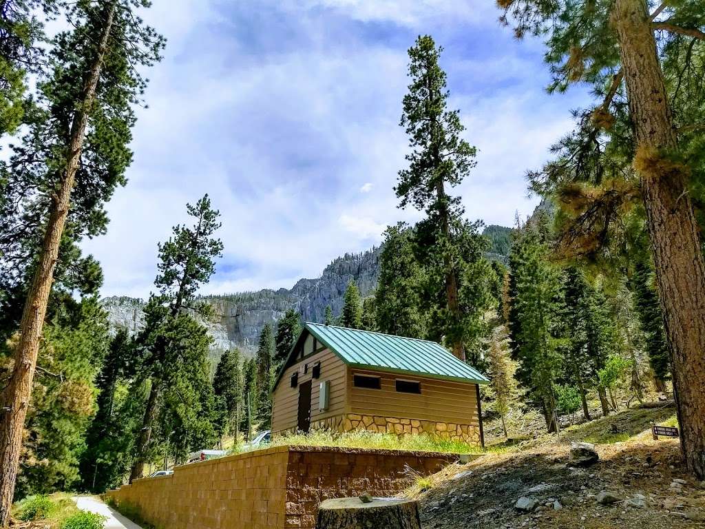 Cathedral Rock Group Picnic area | Mt Charleston, NV 89124, USA | Phone: (702) 872-5486