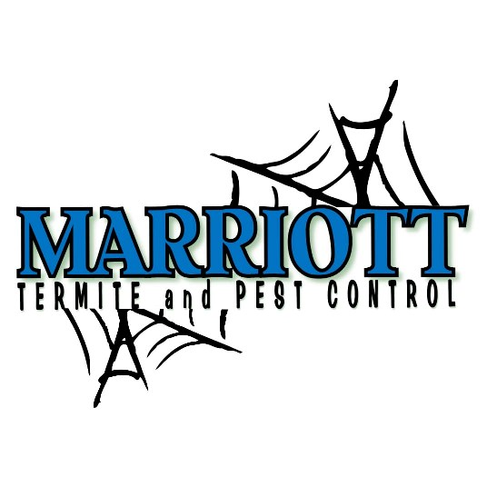 Marriott Termite and Pest Control | 2 S Perkasie Rd, Perkasie, PA 18944, USA | Phone: (267) 354-1578