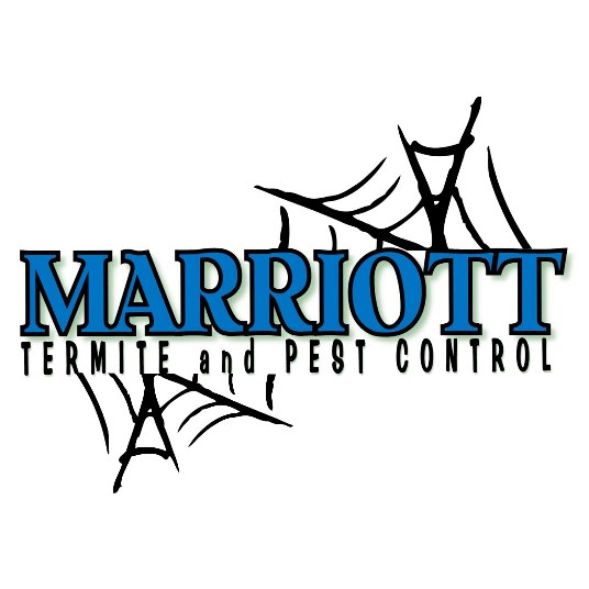 Marriott Termite and Pest Control | 2 S Perkasie Rd, Perkasie, PA 18944 | Phone: (267) 354-1578