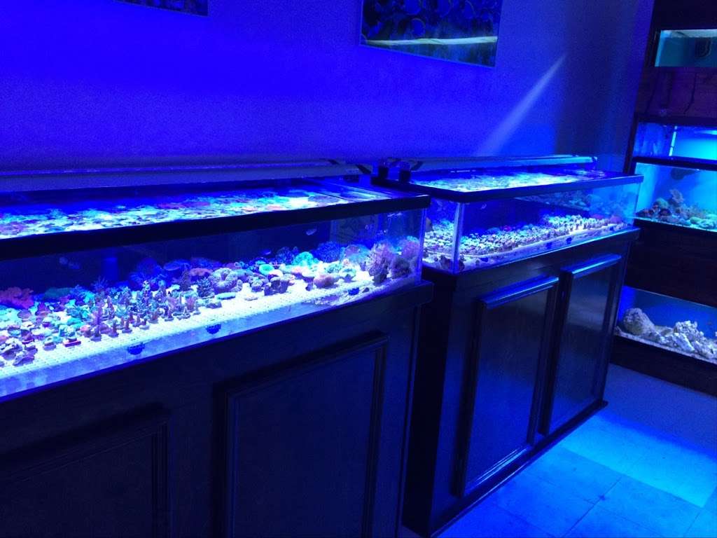 Cinco Ranch Aquariums | 1315 South Grand Parkway South #113, Katy, TX 77494, USA | Phone: (713) 518-6758