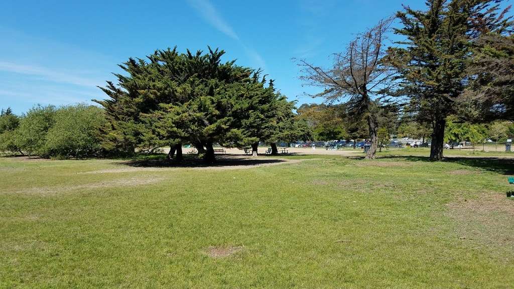 Alameda Dog Park | 1302 8th St, Alameda, CA 94501, USA | Phone: (510) 747-7400