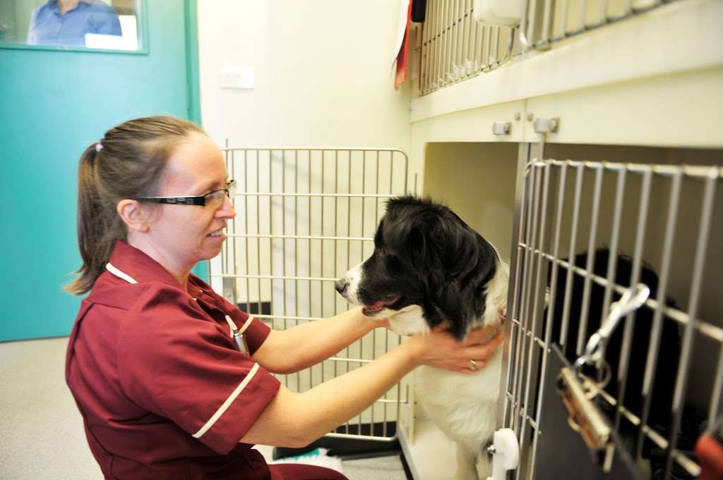 Forest Veterinary Centre | Eastwick Lodge Farm, Harlow CM20 2QT, UK | Phone: 01279 437433