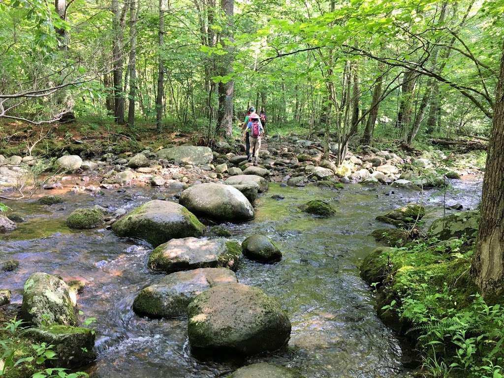 Nicholson Hollow Trail | 3063 State Rte 600, Etlan, VA 22719, USA