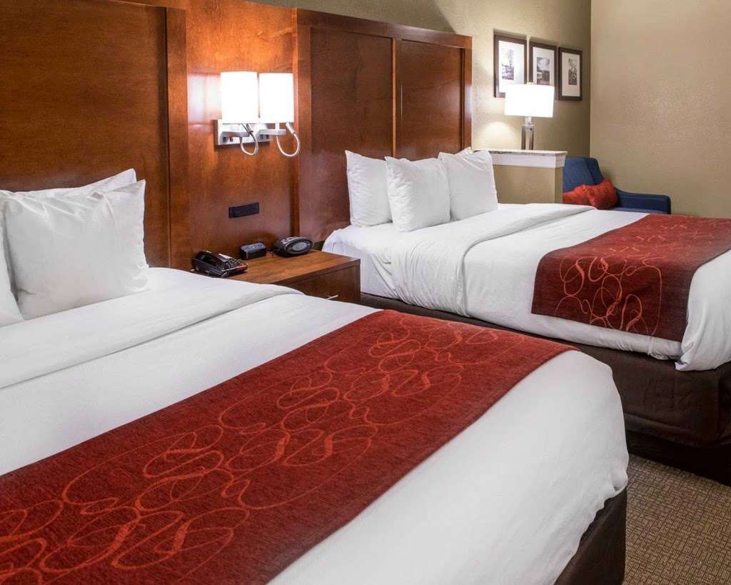 Comfort Suites | 1348 McCarter Hwy, Newark, NJ 07104, USA | Phone: (973) 718-3019