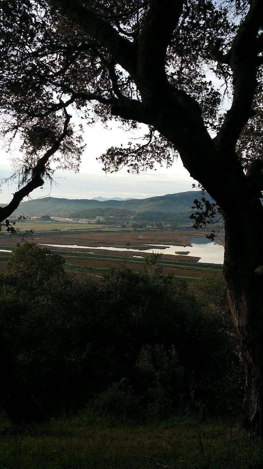 Deer Island Preserve | Novato, CA 94945, USA