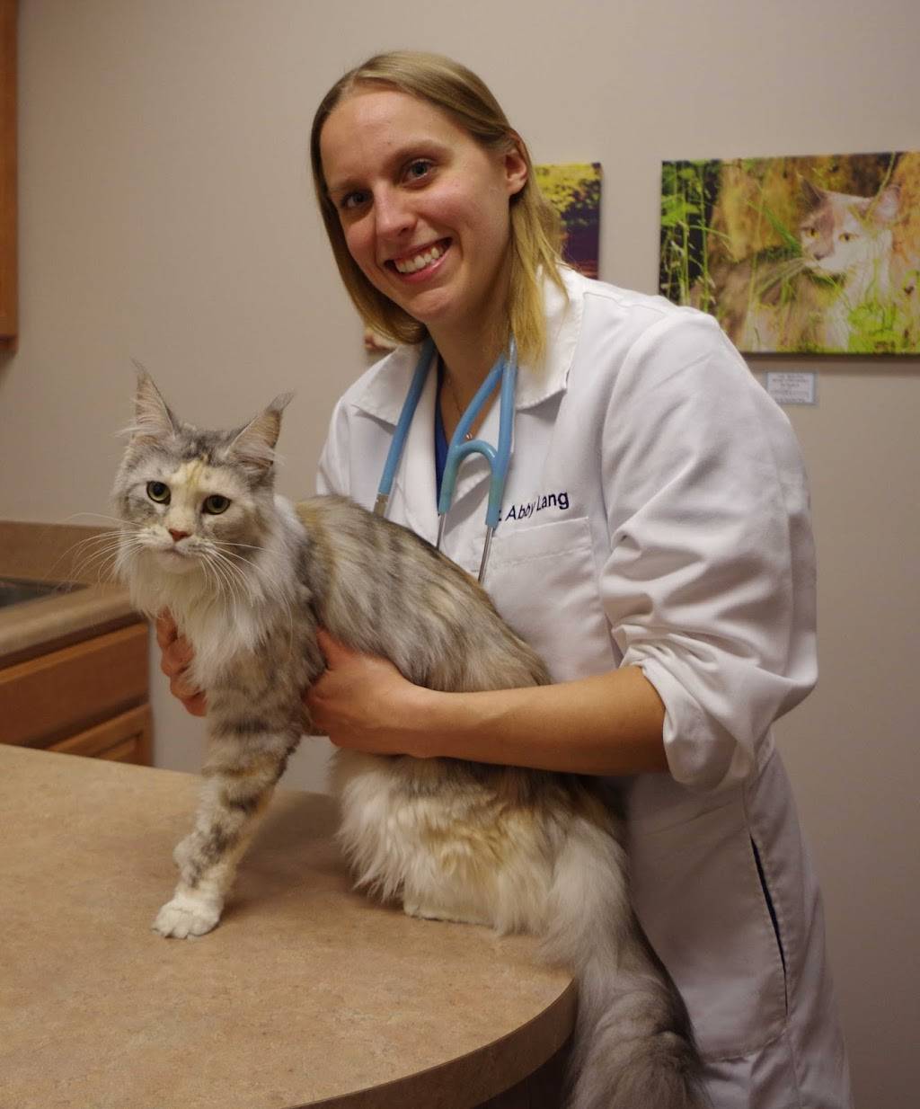 Village Veterinary Hospital | 50150 Governors Dr, Chapel Hill, NC 27517, USA | Phone: (919) 967-4779